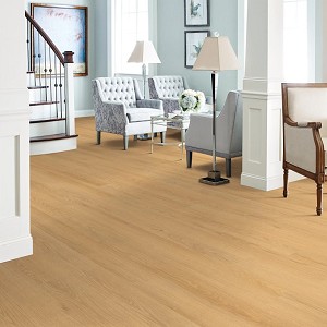Willow Oak 12